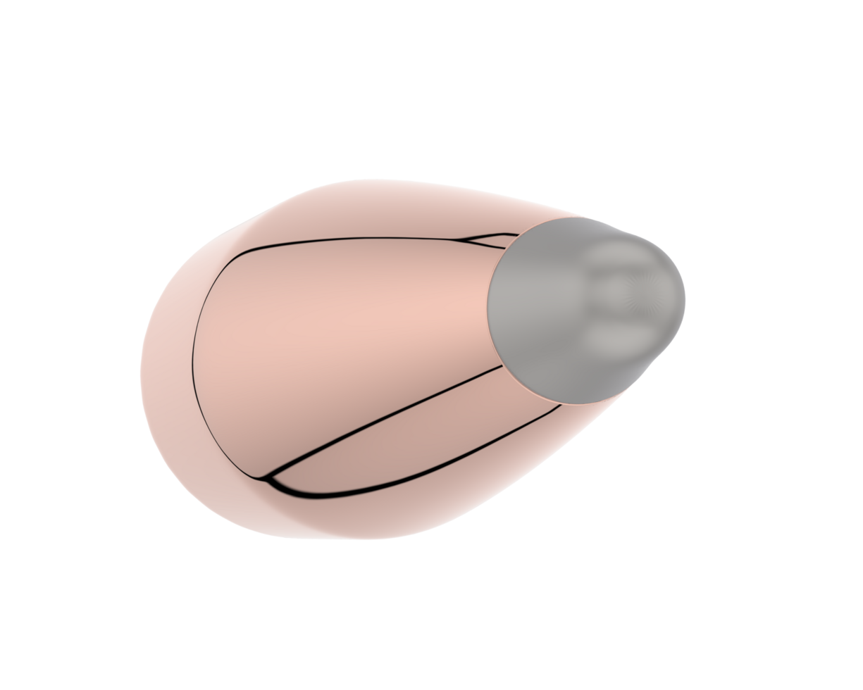 Bullet isolated on background. 3d rendering - illustration png