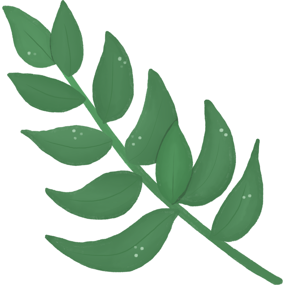 illustration of leaf. cartoon watercolor style. isolated on transparent background png