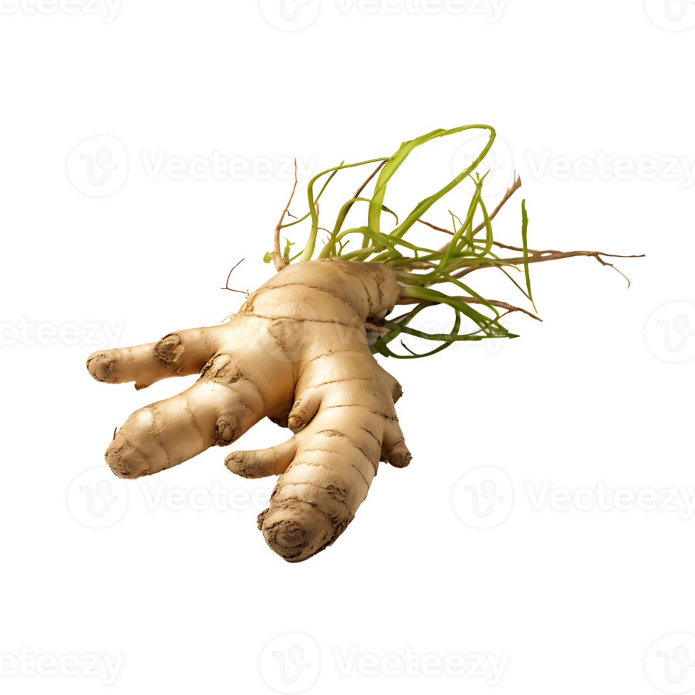 AI generated Ginger root vegetable icon isolated transparent background png