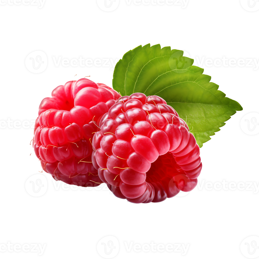 AI generated Raspberry fruit icon isolated transparent background png