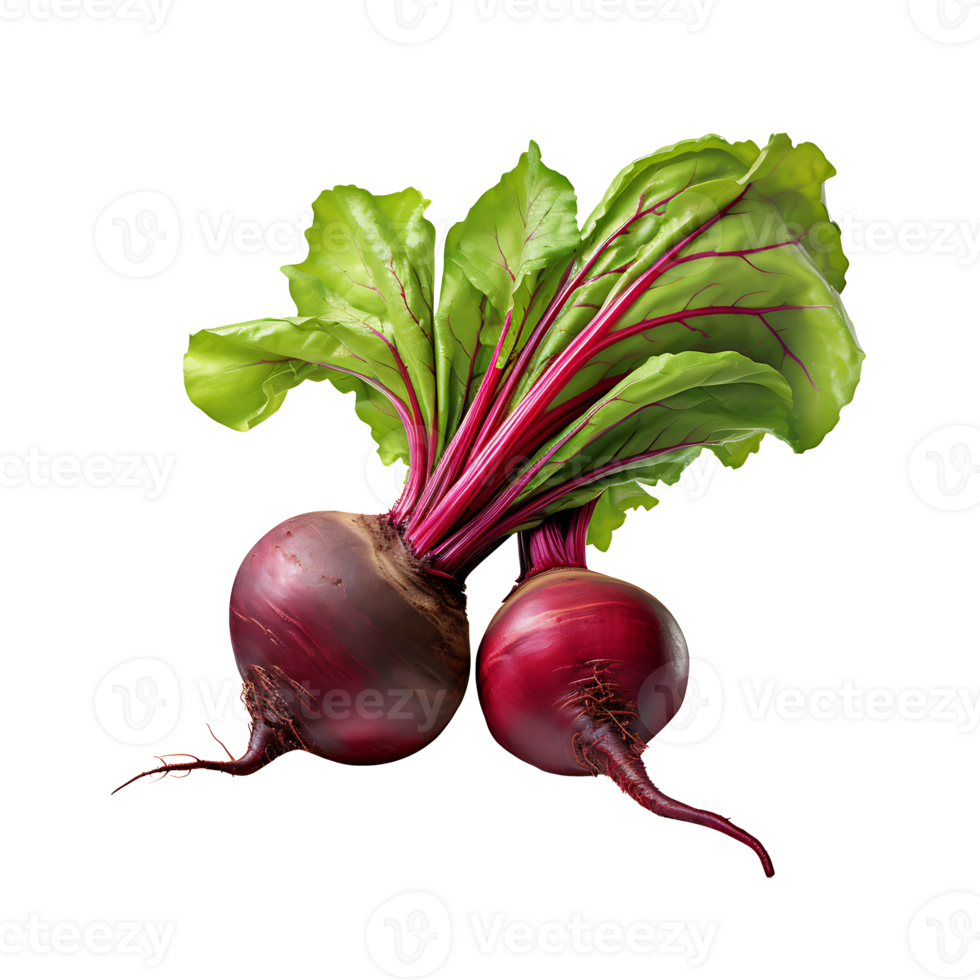 AI generated Beetroot vegetable icon isolated transparent background png