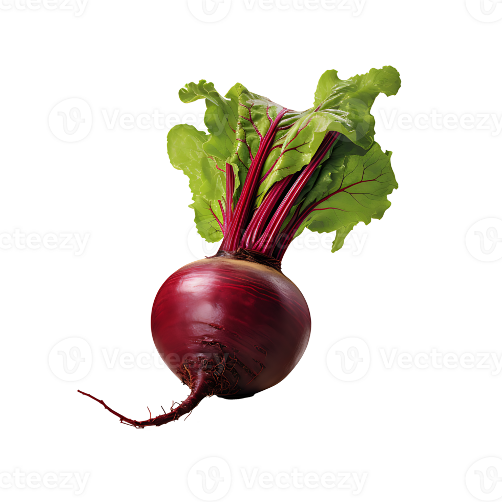 AI generated Beetroot vegetable icon isolated transparent background png