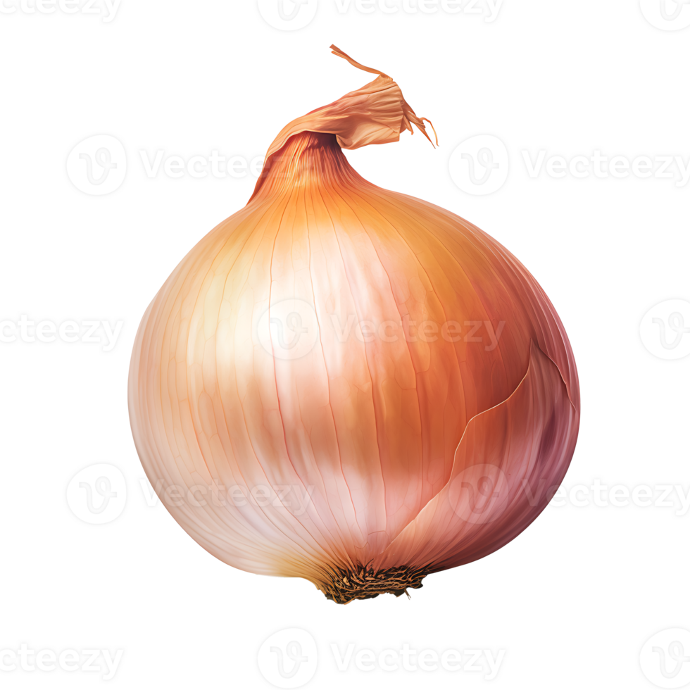 AI generated Onion vegetable icon isolated transparent background png