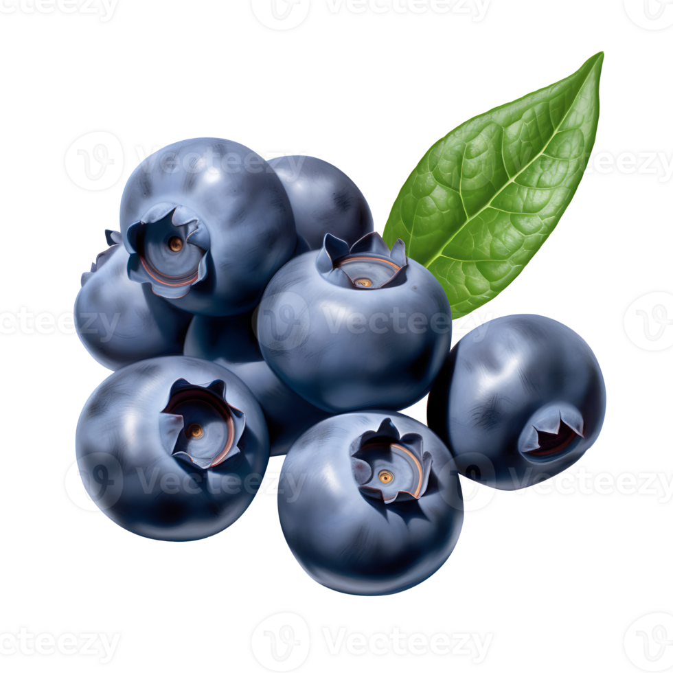 AI generated Blueberry fruit icon isolated transparent background png