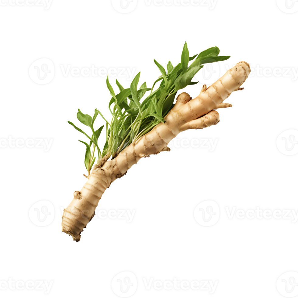 AI generated Ginger root vegetable icon isolated transparent background png