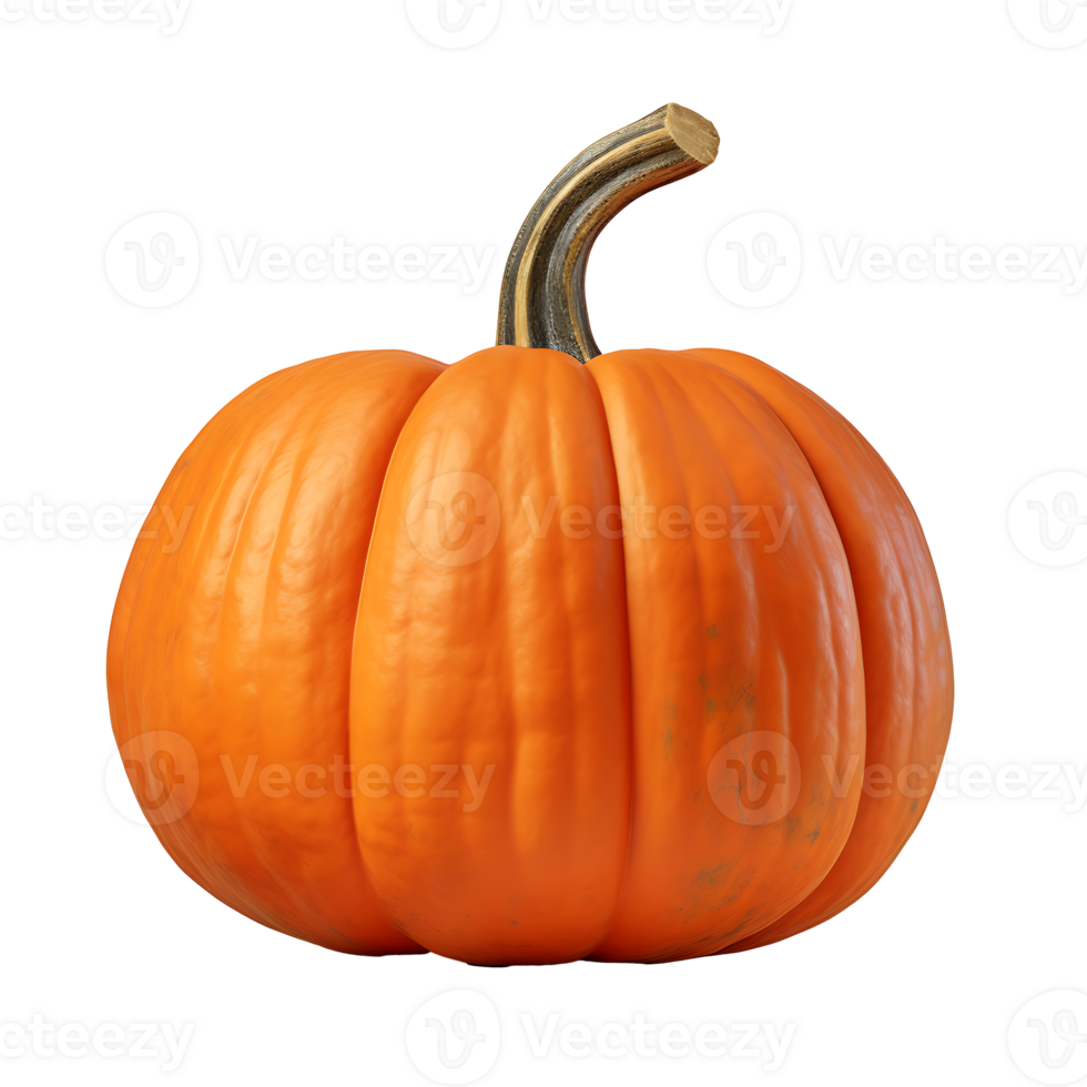 AI generated Pumpkin vegetable icon isolated transparent background png