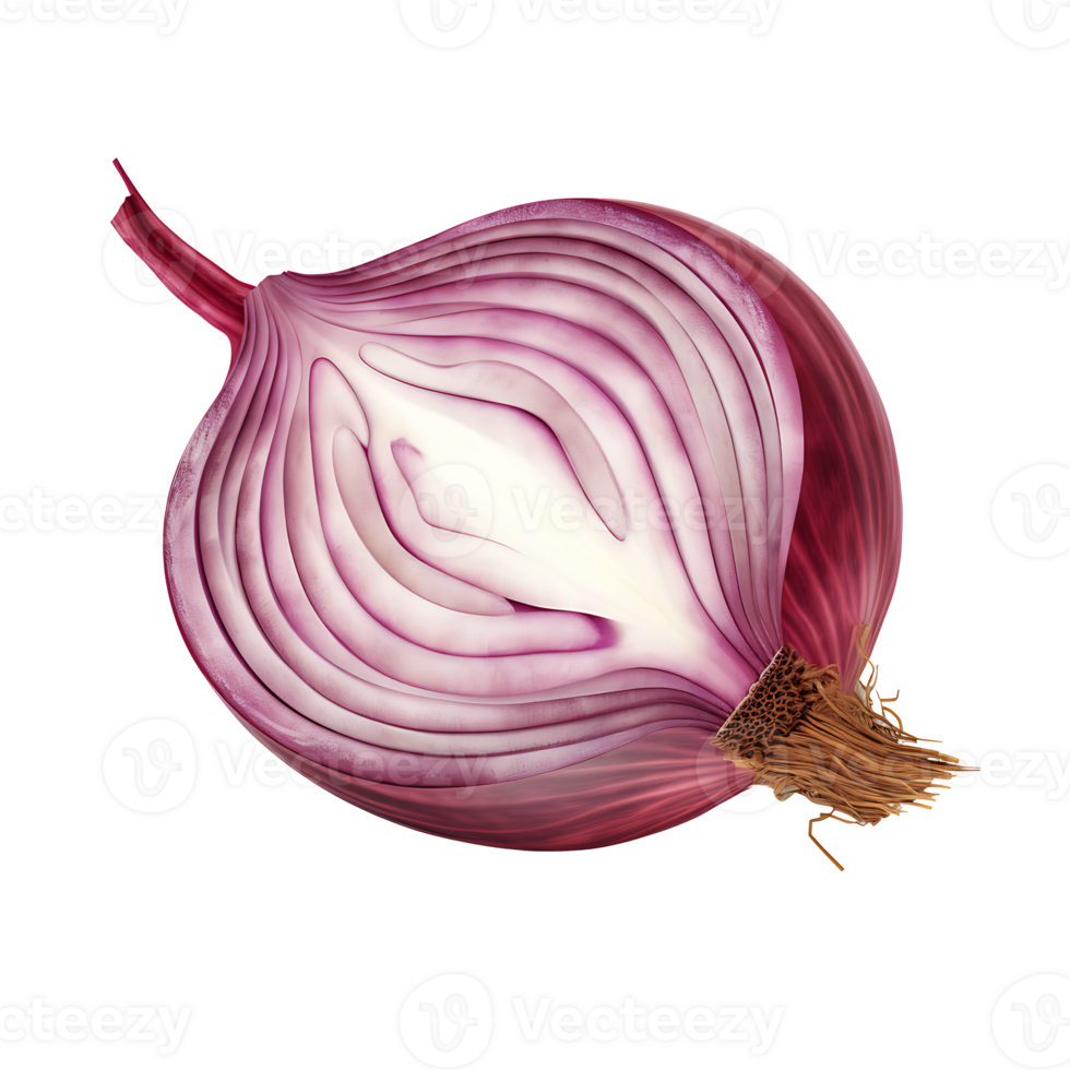 AI generated Red onion slice vegetable icon isolated transparent background png