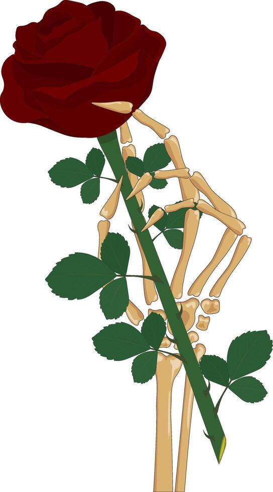 Skeleton hand holding red rose flower vector illustration