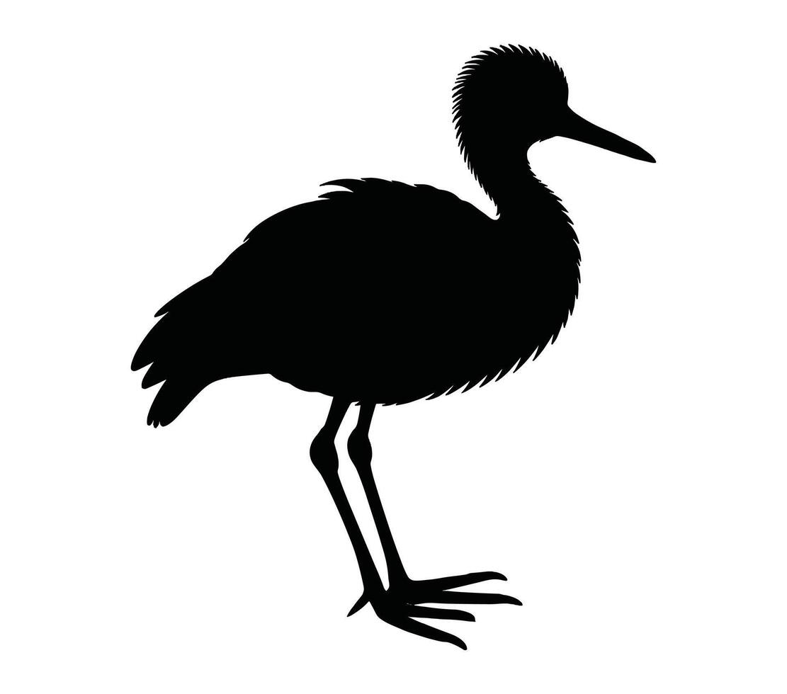 African jacana vector. African jacana vector icon in flat style.