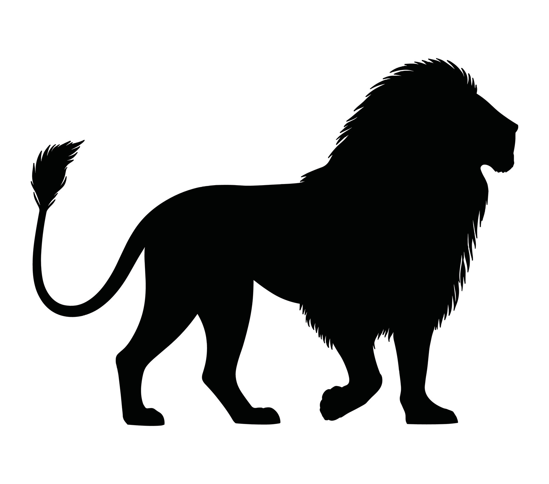 African Lion. Vector image. White background. 37368420 Vector Art at