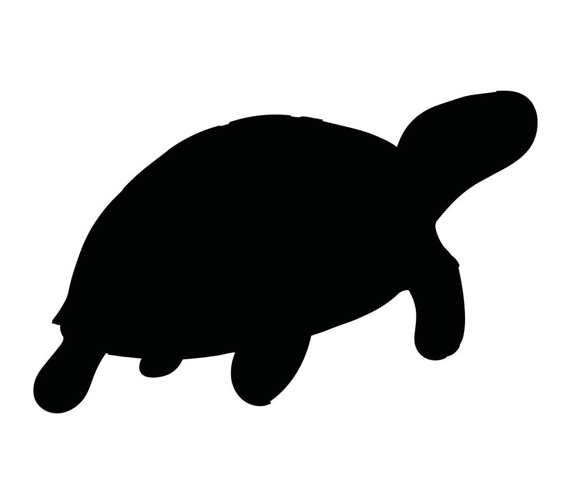 African Helmeted Turtle Silhouette Stock Vector Illustration.