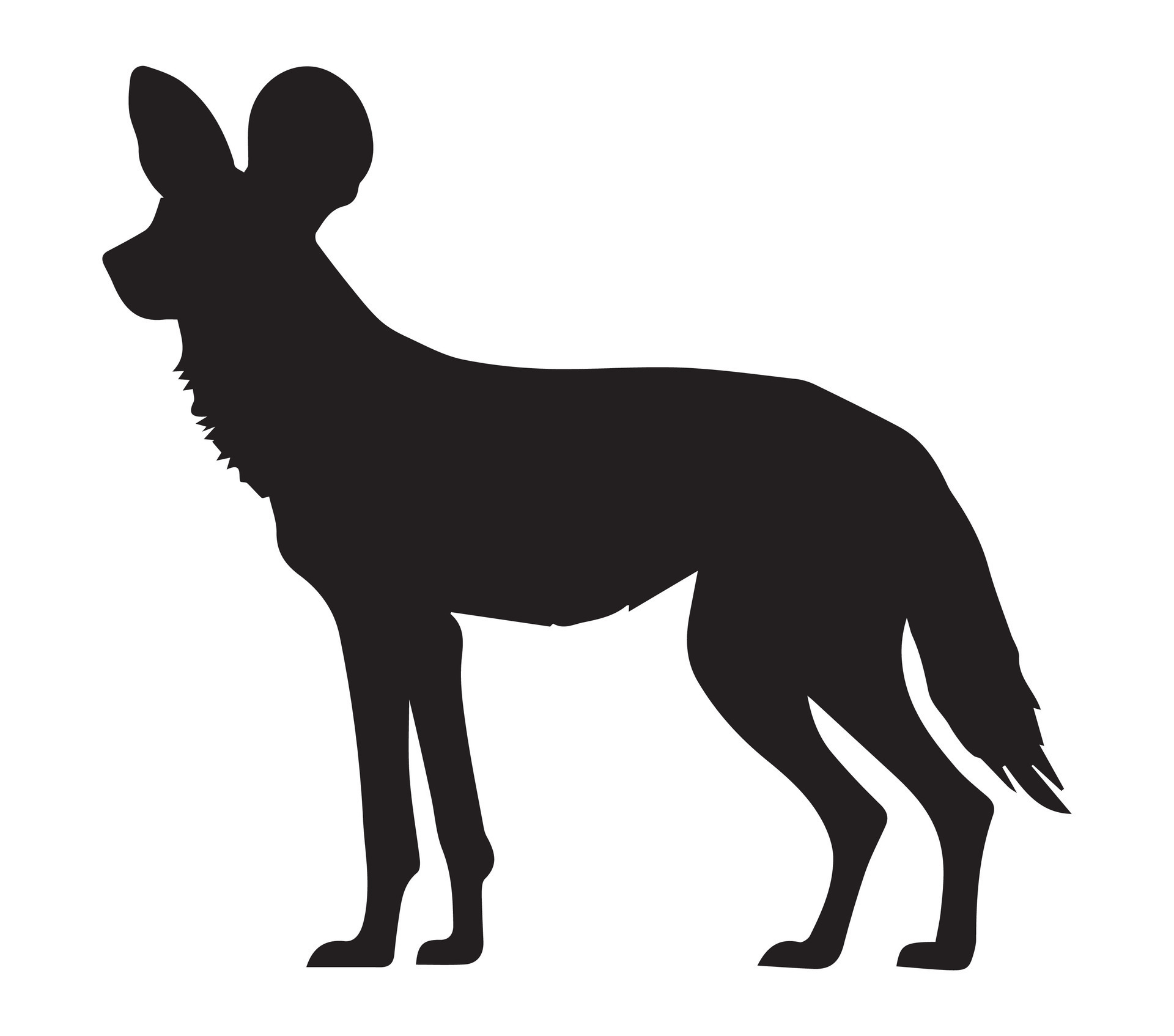 African Wild Dog Silhouette Stock Vector Illustration 37368454 Vector african-wild-dog-silhouette-stock-vector-illustration-37368454-vector