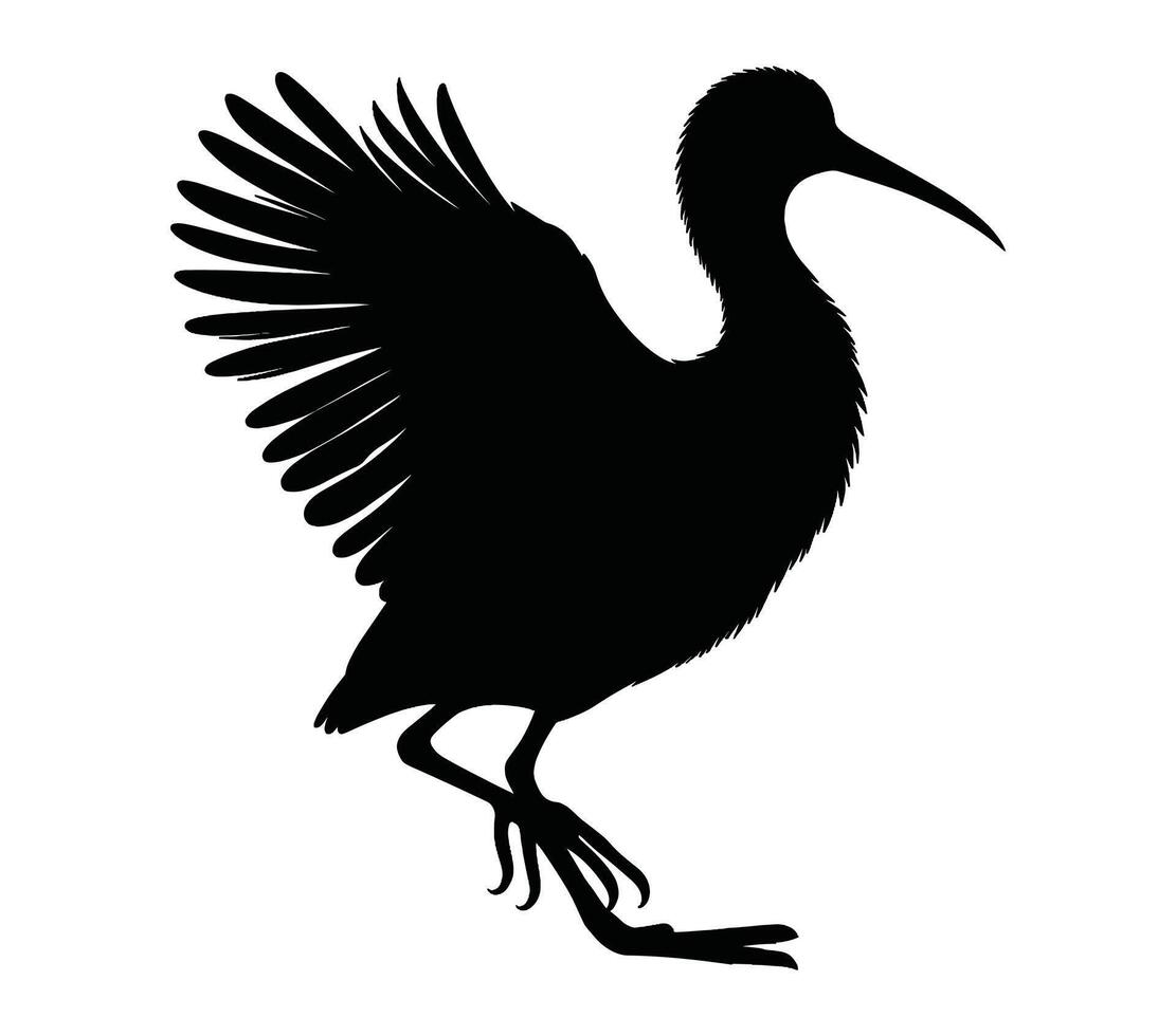 African jacana vector illustration design art.