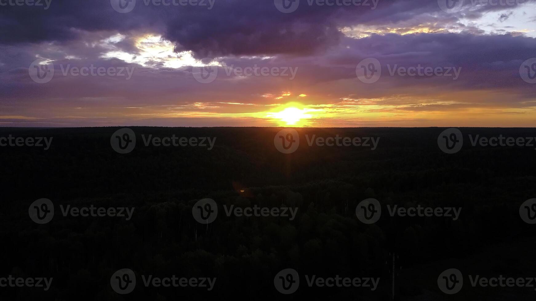 Purple sunset. Clip.The view from the drone is a purple-pink sky and the tops of fir trees with green branches. photo