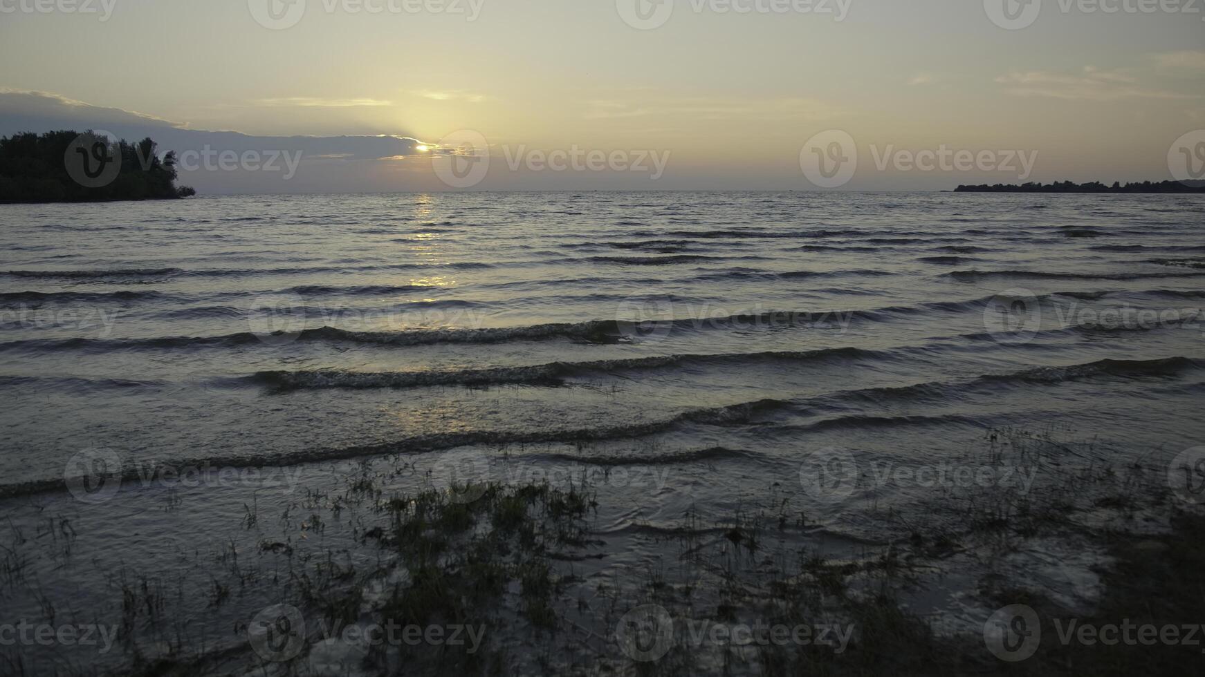 Grass and mud in shallow water with sunset. Creative. Grass in shallow water with water and small waves on horizon background. Waves and mud move with setting sun on summer evening photo