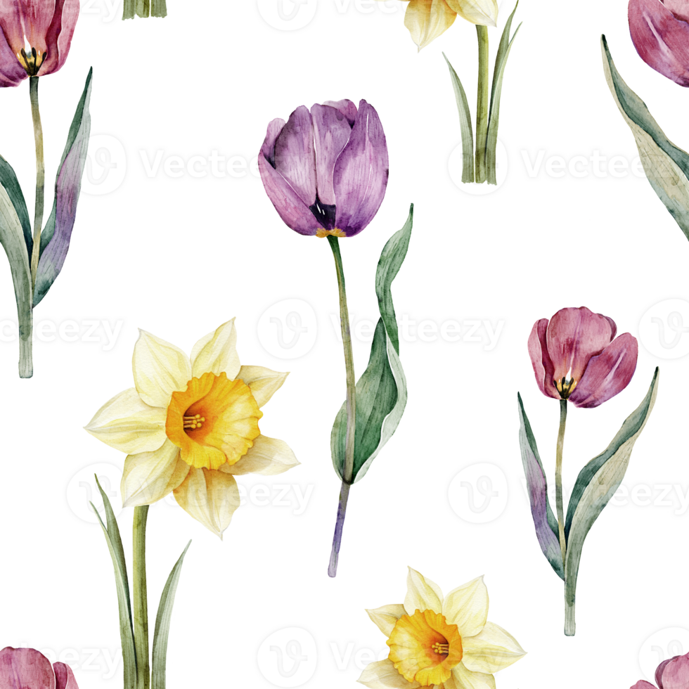 Pink tulips and daffodils seamless pattern, watercolor illustration png