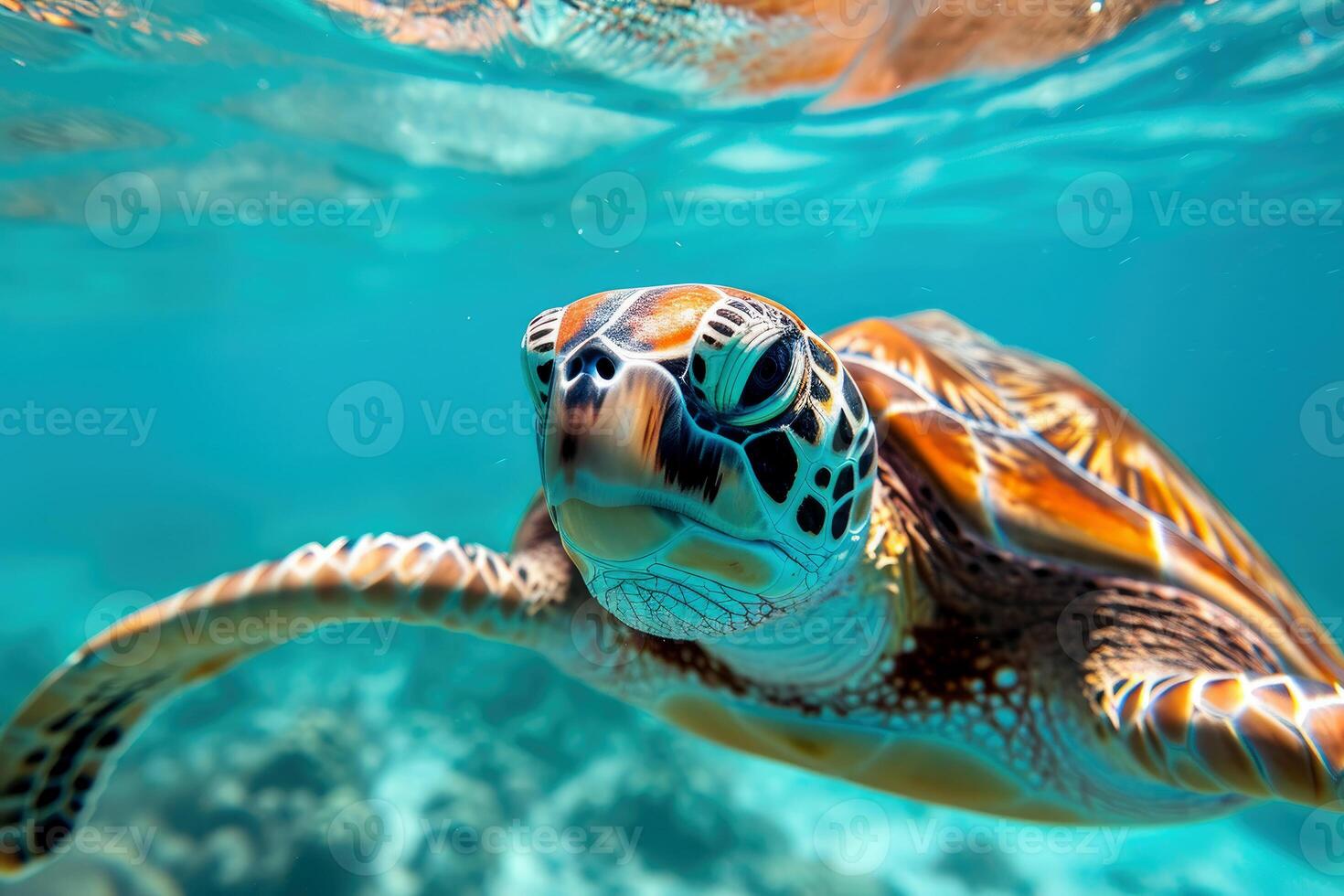 AI generated Sea turtle swims under water. Generative AI. photo