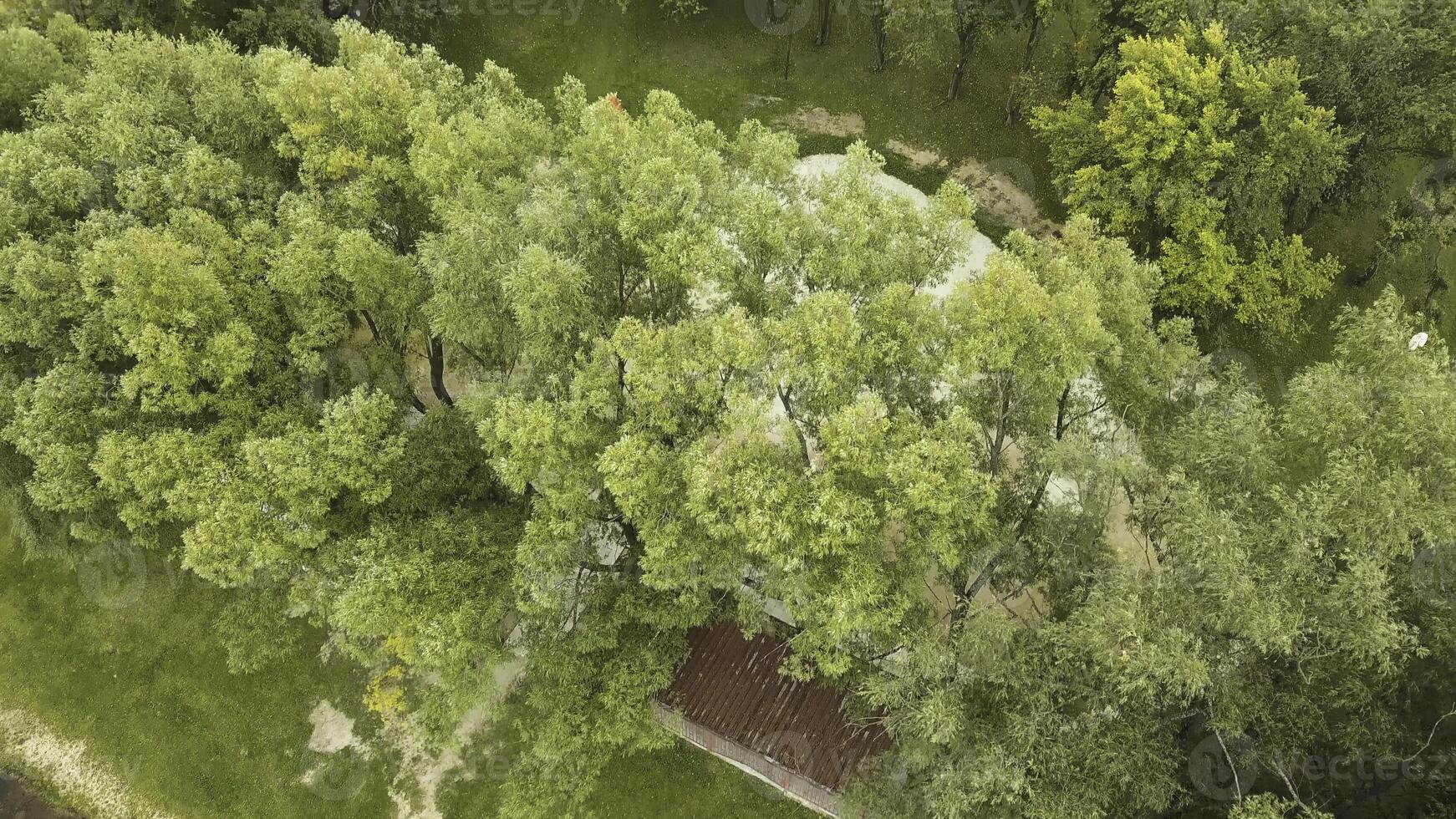 Aerial view of summer forested park near lake with wooden pier. Stock footage. Flying over green trees and water surface on a summer day. photo