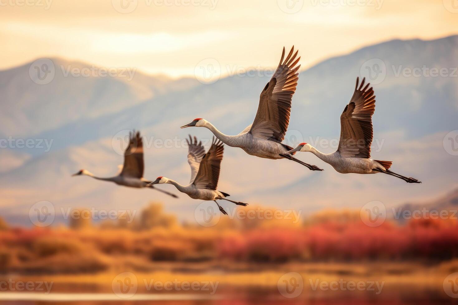 ai generado un rebaño de sandhill grúas durante su otoño migración. ai generativo foto