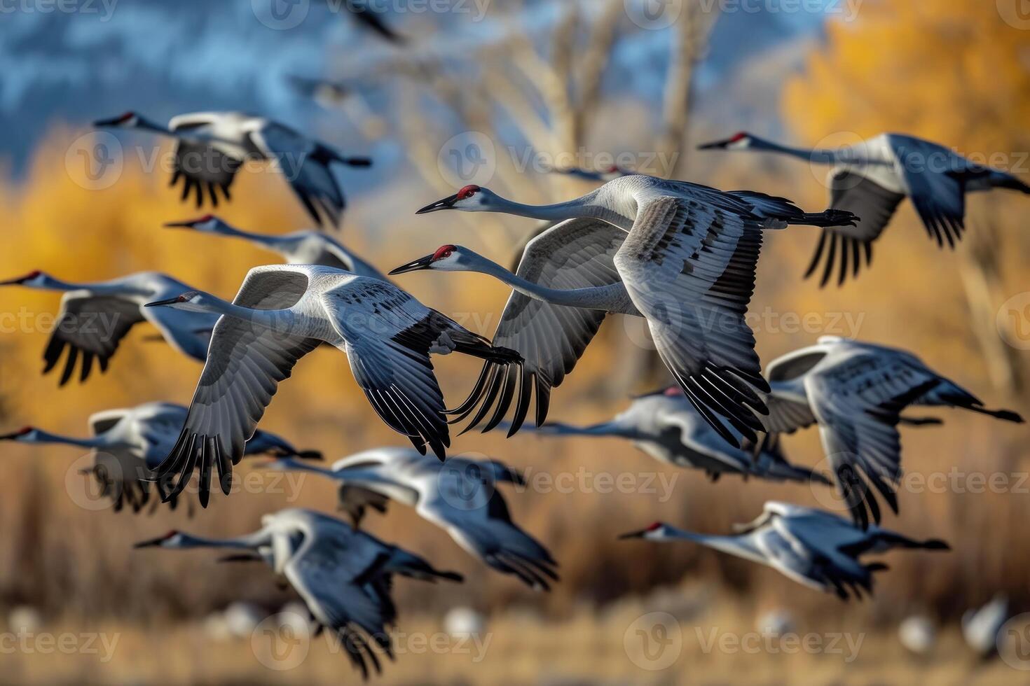 ai generado un rebaño de sandhill grúas durante su otoño migración. ai generativo foto