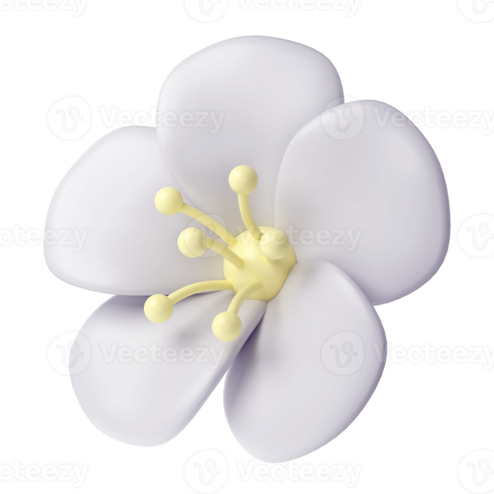 3d White spring cherry blossom flower transparent. Including petals, and bud. Graphic cute element design for web, greeting card png