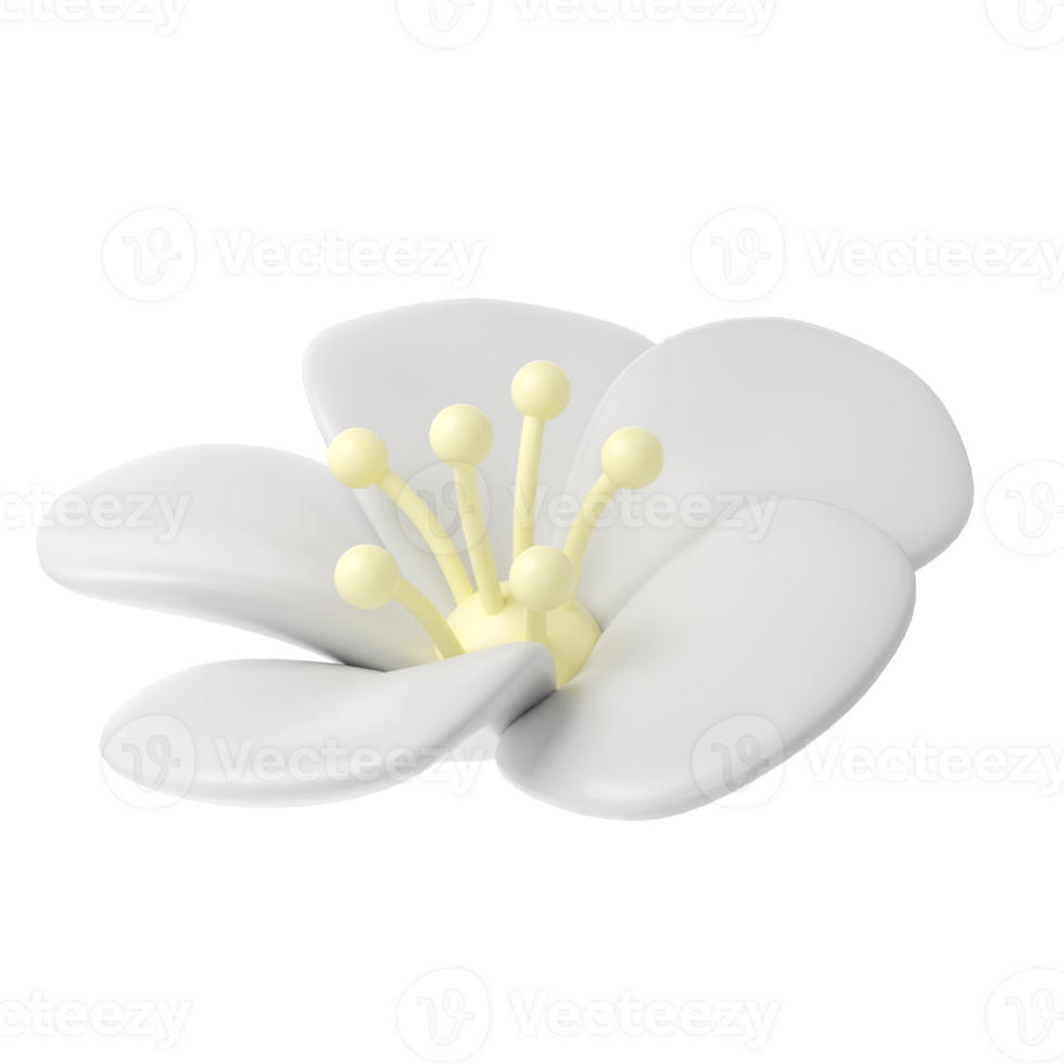 3d branco Primavera cereja Flor flor transparente. Incluindo pétalas, e amigo gráfico fofa elemento Projeto para rede, cumprimento cartão png