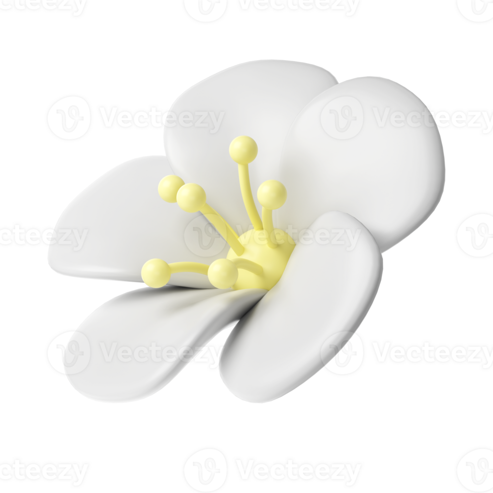 3d White spring cherry blossom flower transparent. Including petals, and bud. Graphic cute element design for web, greeting card png