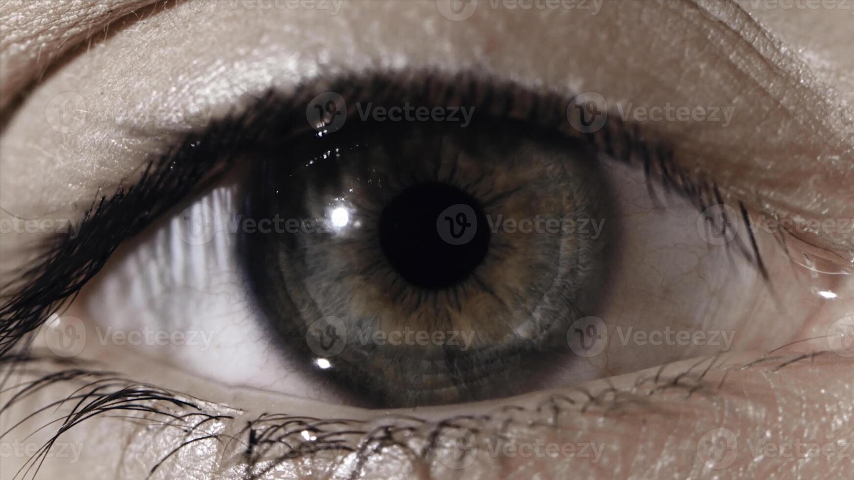 de cerca de un hermosa joven mujer verde ojo. de cerca de verde humano ojo. verde ojo muy cerca. humano ojo, macro disparo foto