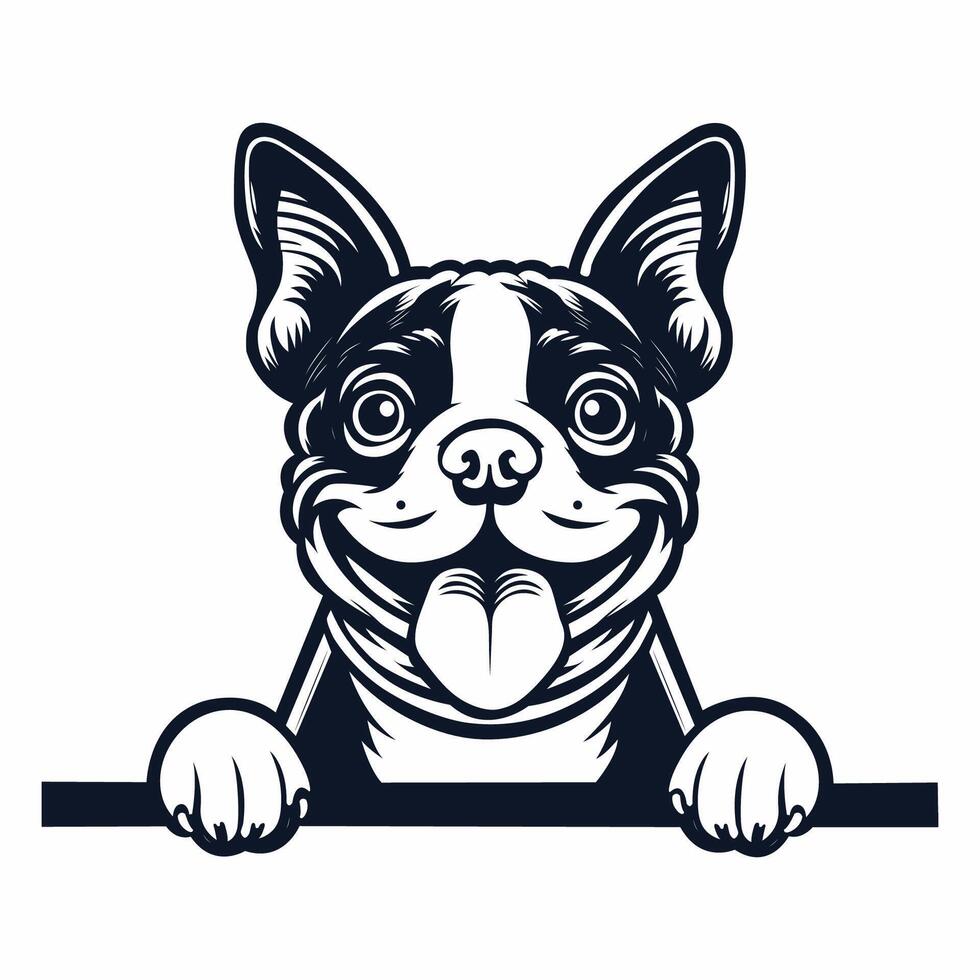 AI generated Boston Terrier dog peeking isolated illustration Pro vector