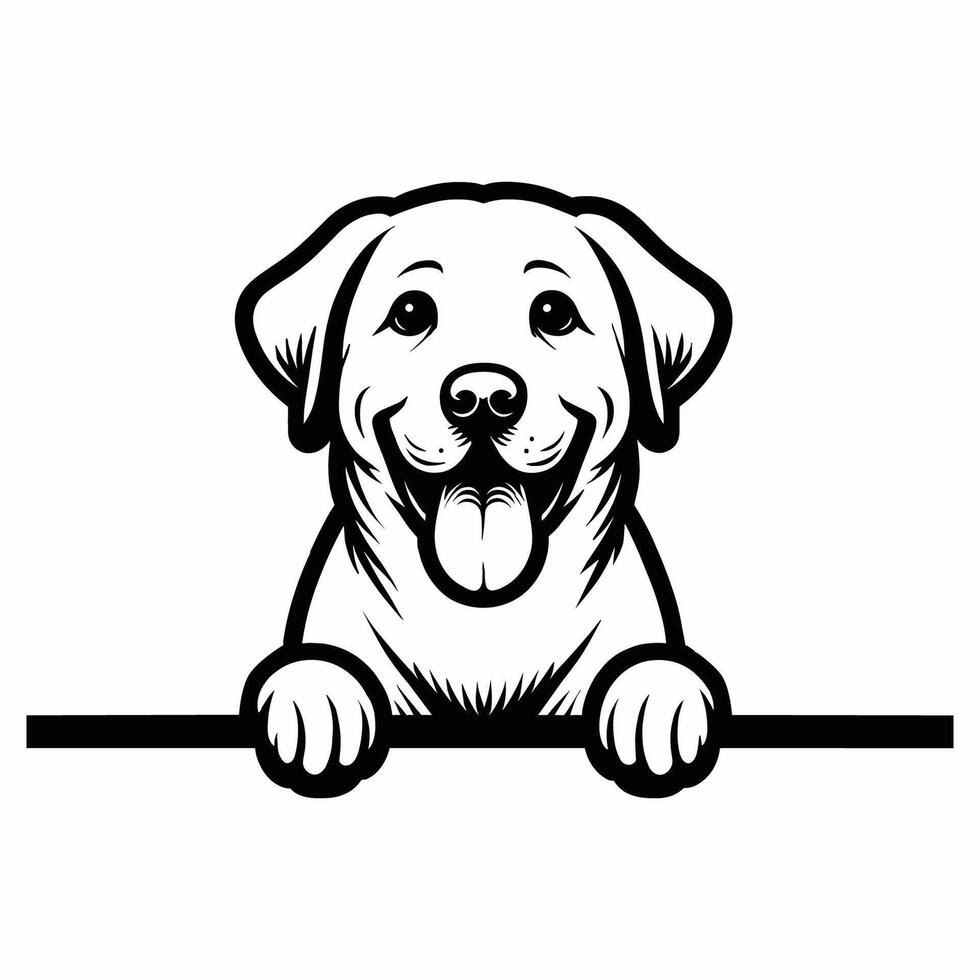 AI generated Labrador Retriever dog peeking isolated illustration Pro vector
