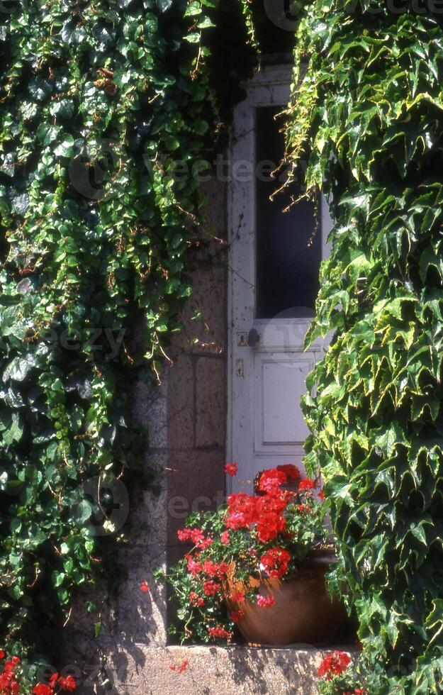 a window with a door photo