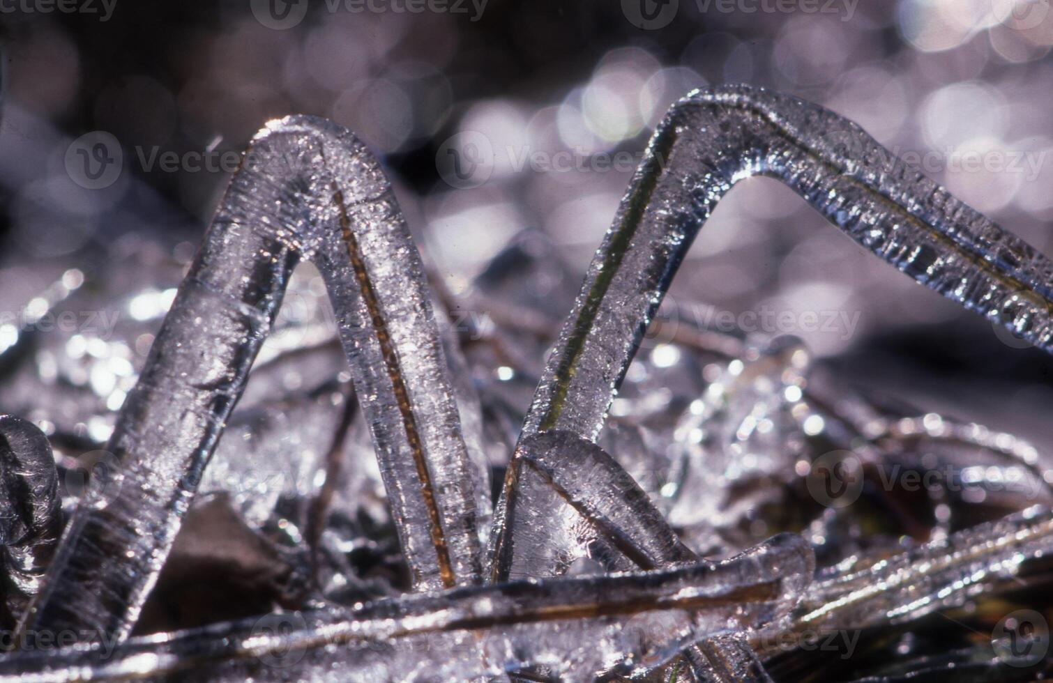 ice crystals on a rock photo