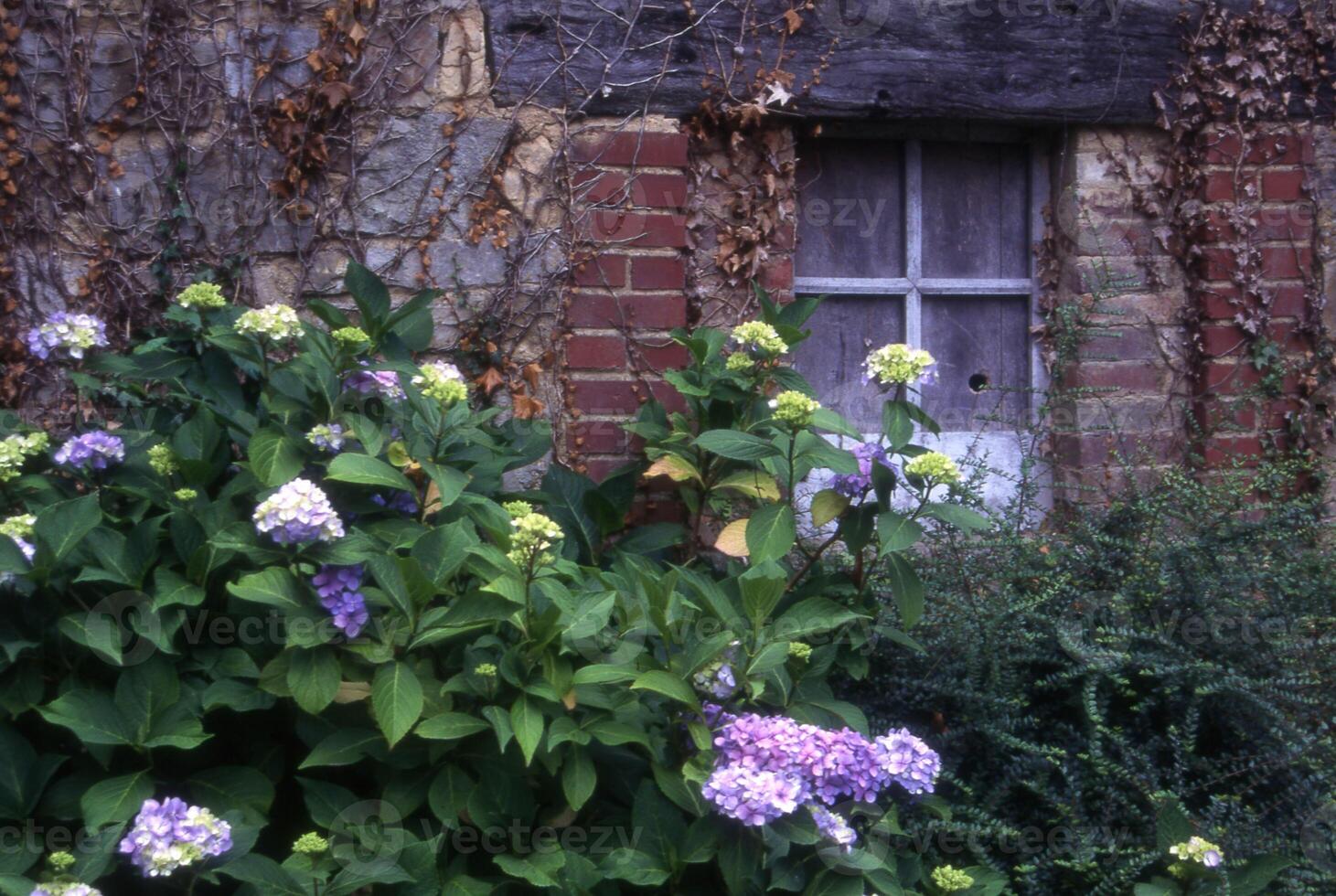 a window in a brick building photo