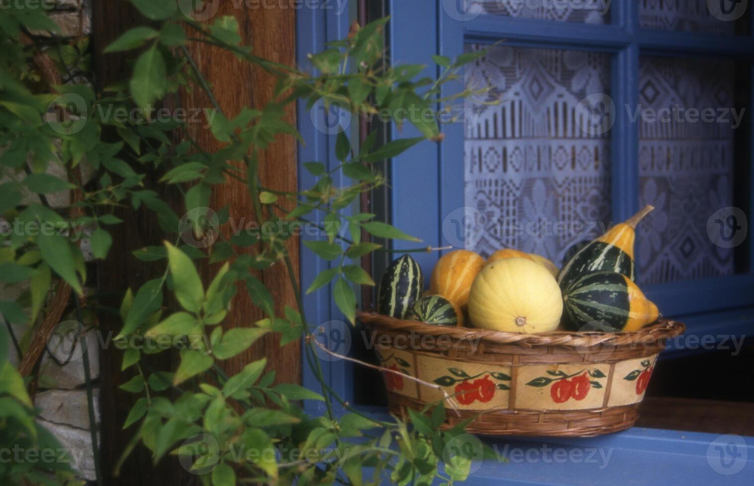 a basket of fruit on a window sill photo