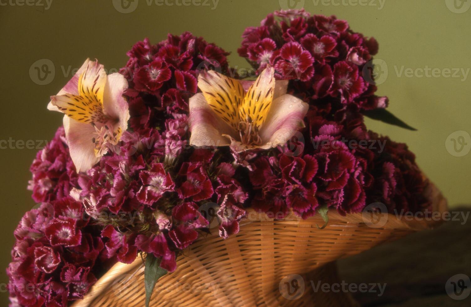 un cesta con púrpura flores en eso foto