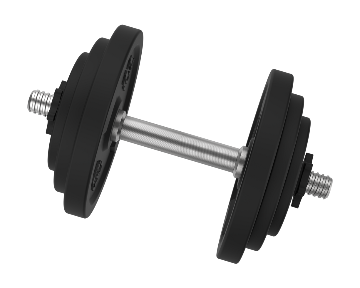 Dumbbell isolated on background. 3d rendering - illustration png
