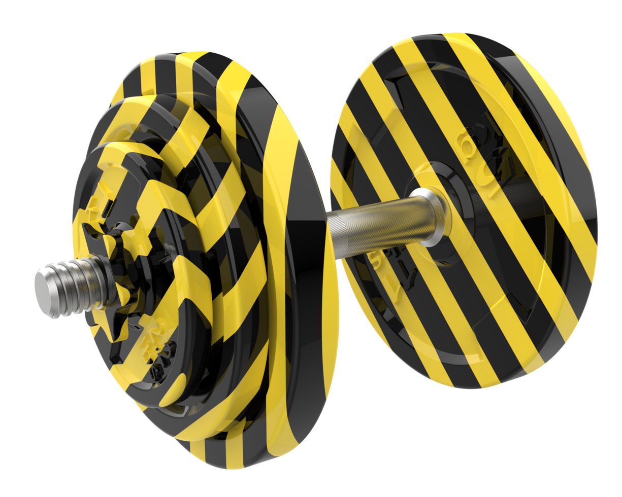 Dumbbell isolated on background. 3d rendering - illustration png