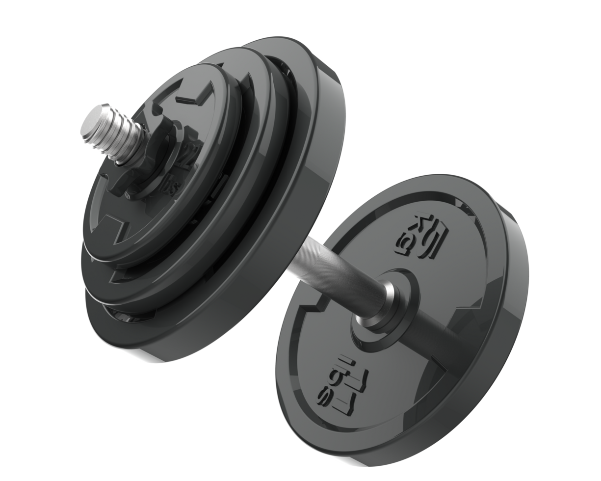 Dumbbell isolated on background. 3d rendering - illustration png