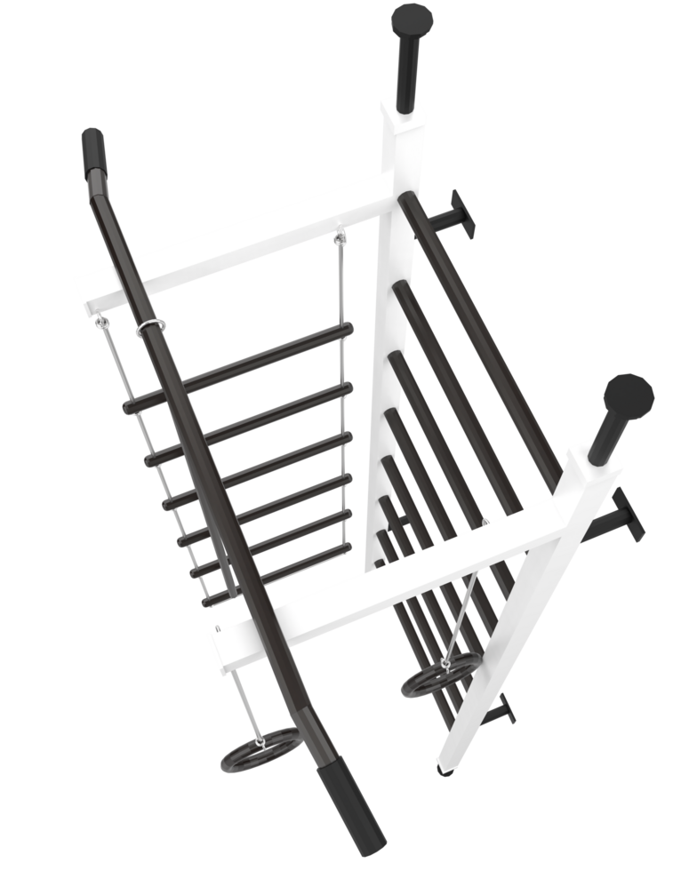 Gym equipment isolated on background. 3d rendering - illustration png