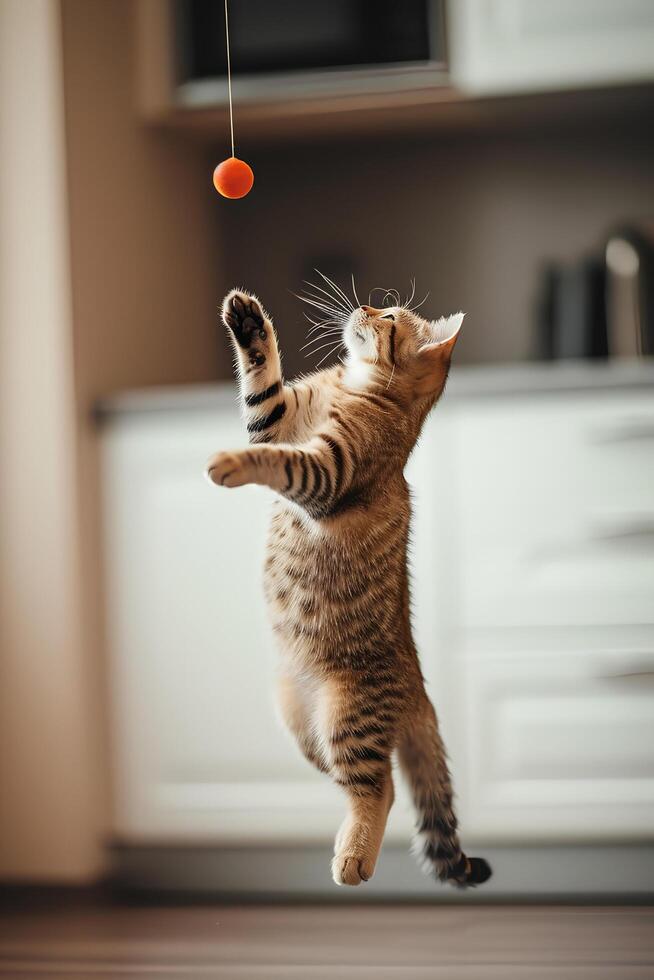 AI generated Paws and Play A Day in the Life of a Happy Cat photo