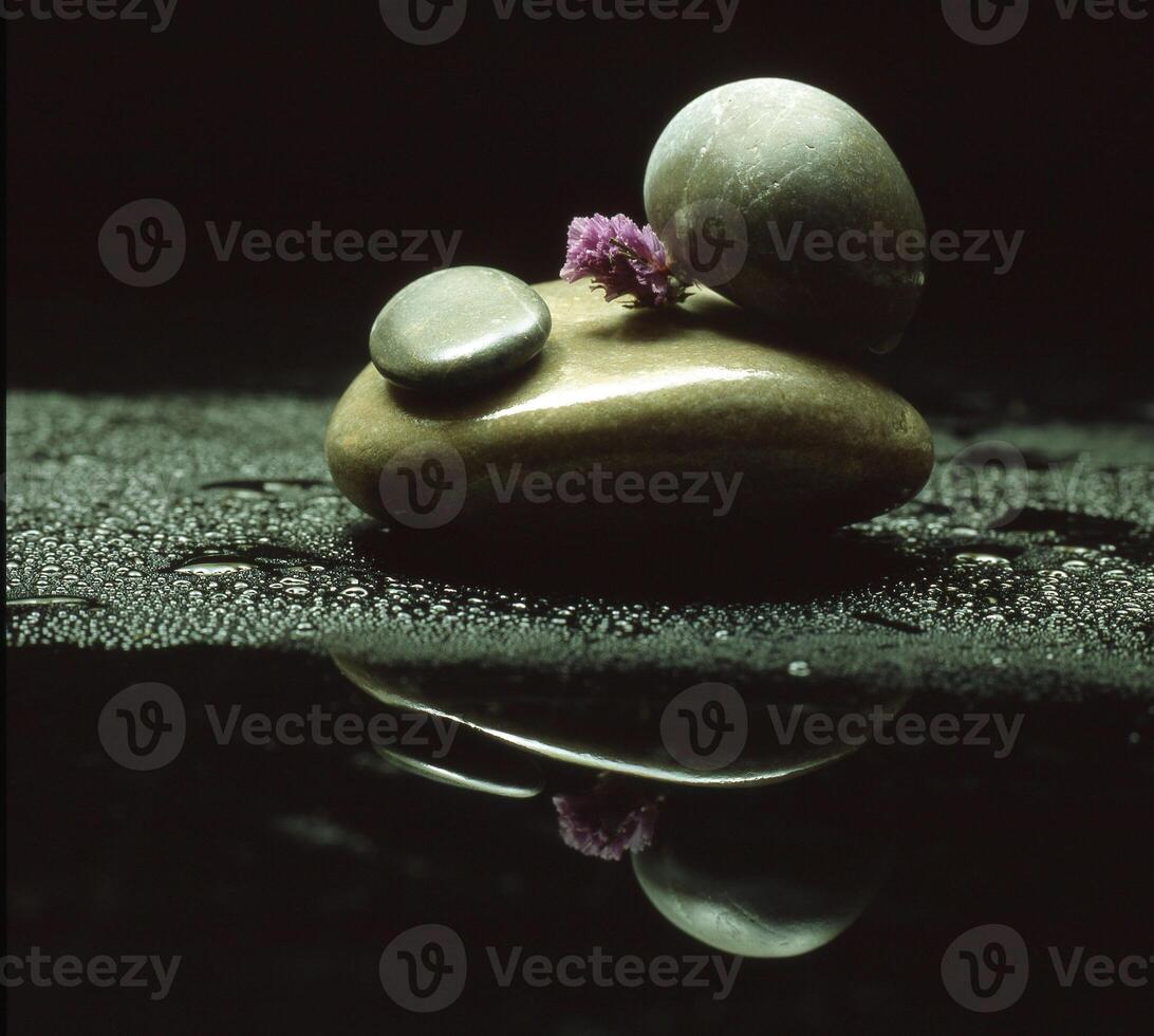 a rock with two stones and a flower on it photo