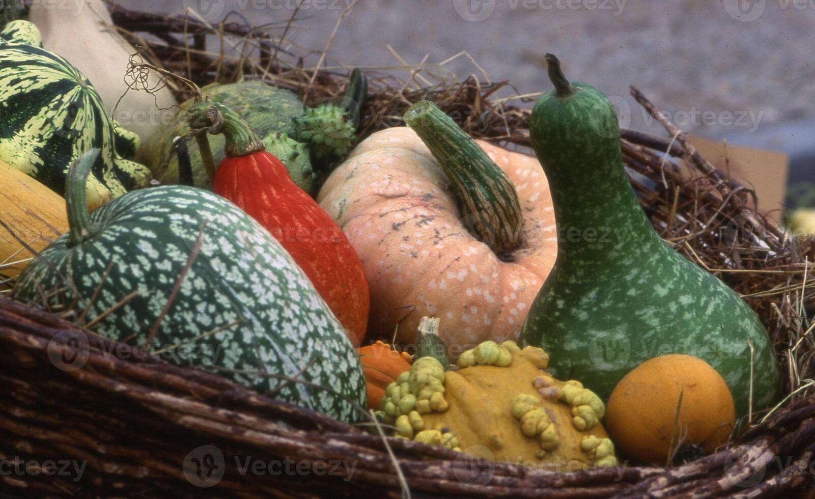 a basket filled with gourds and squash photo