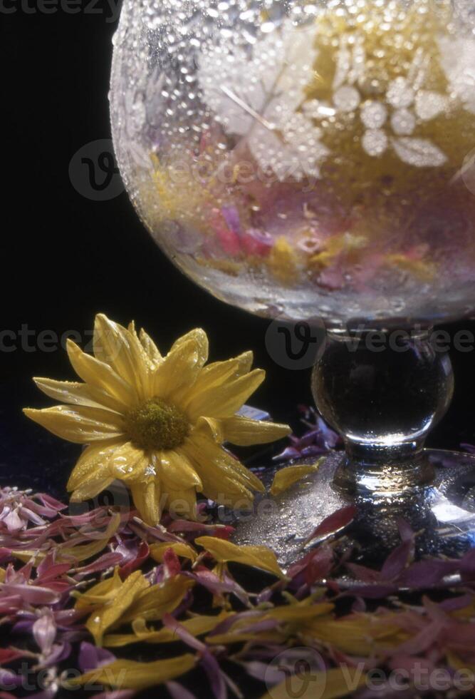 a glass bowl with a flower and a yellow flower photo