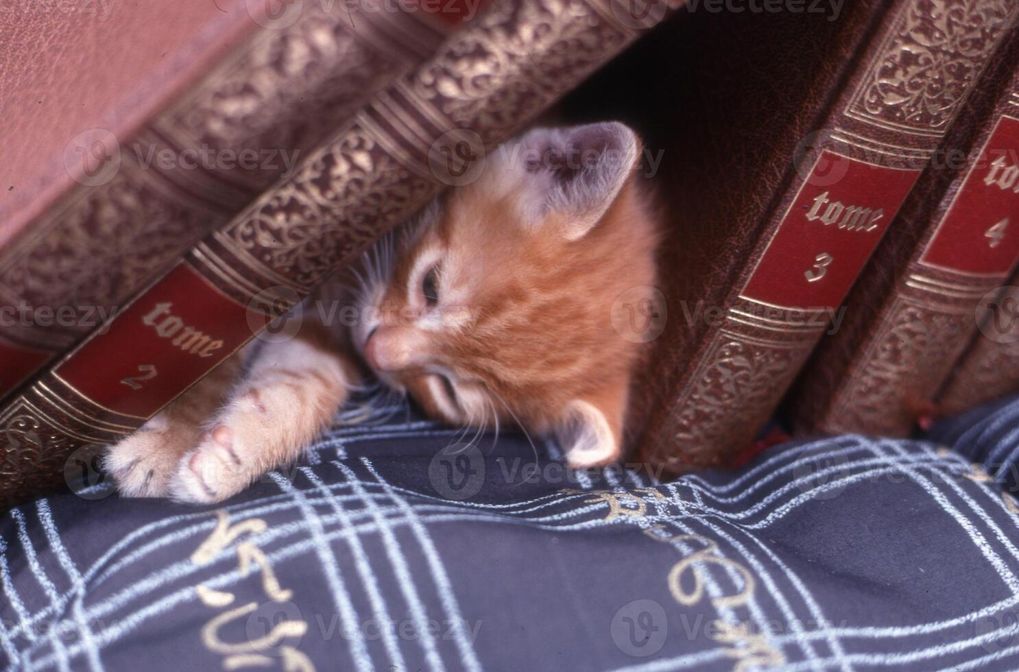 un gato dormido debajo un pila de libros foto