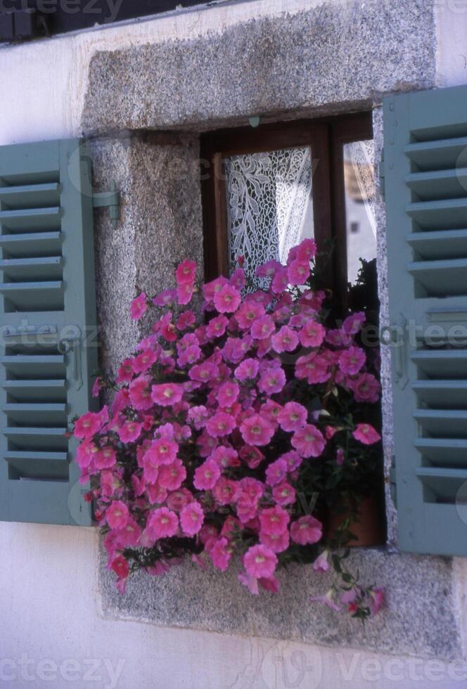 a window with green shutters photo