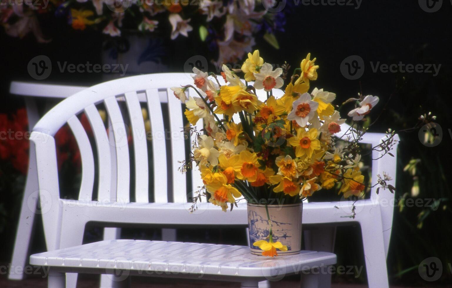 a vase of flowers on a chair photo