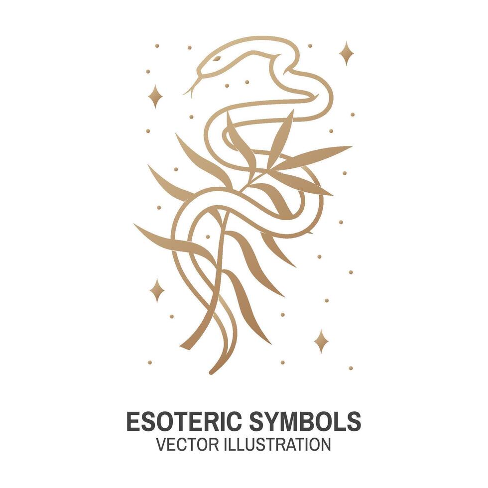 Esoteric symbols. Vector. Thin line geometric badge. Outline icon for alchemy or sacred geometry. Mystic and magic design with snake and wildflower vector