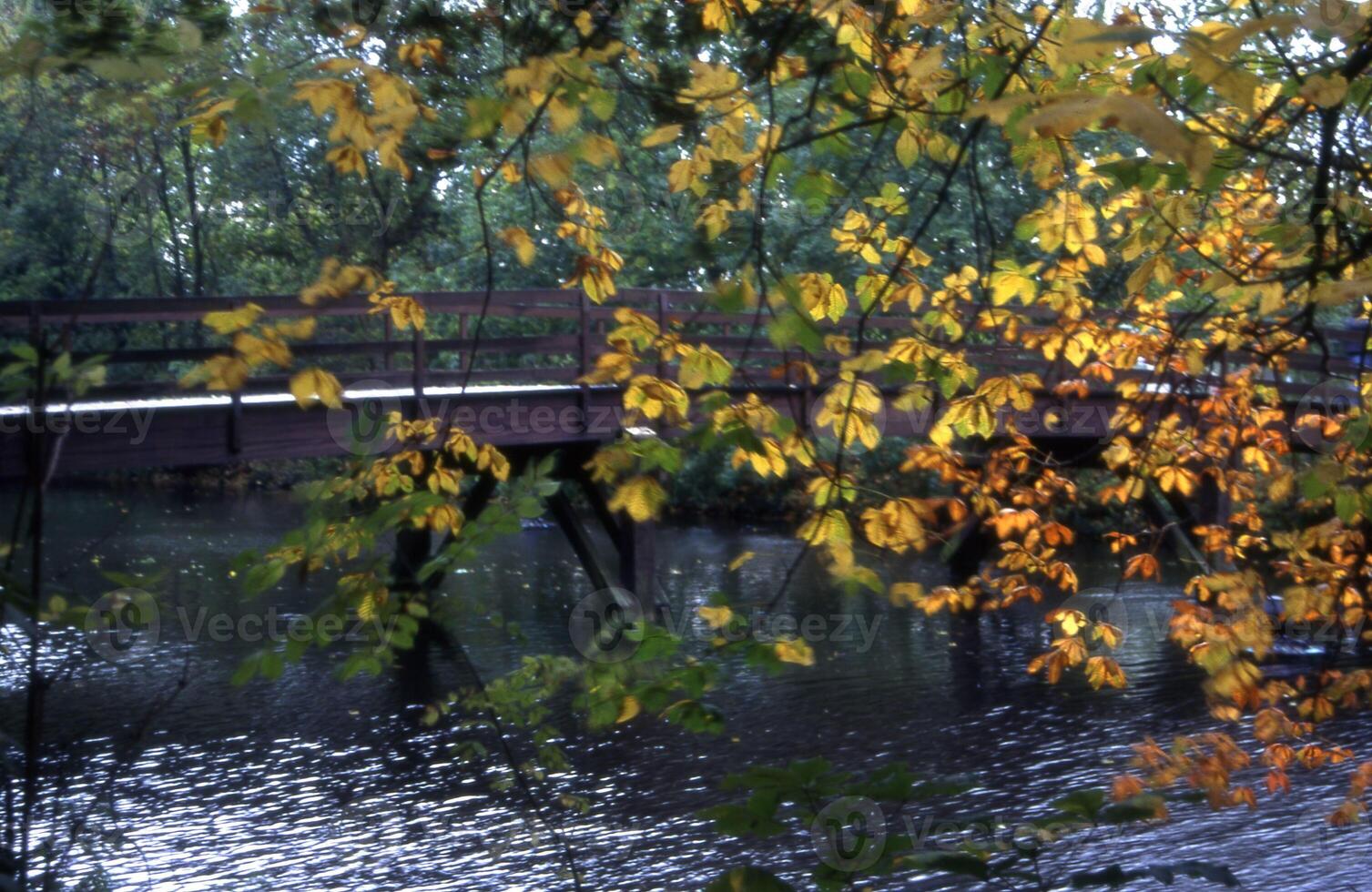 a bridge over a river with a bench on it photo