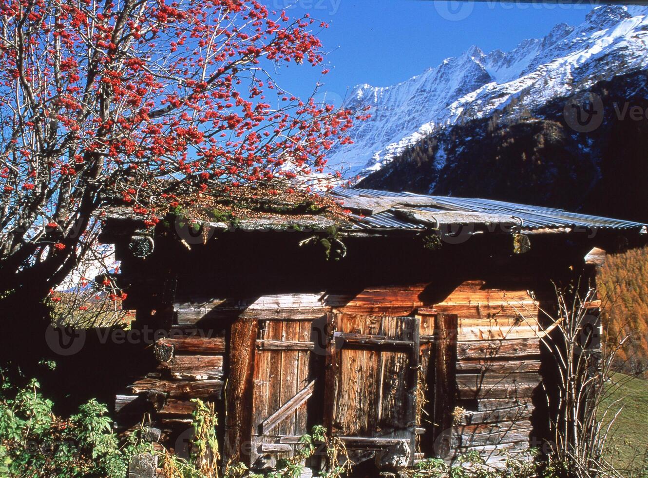 a small wooden cabin photo