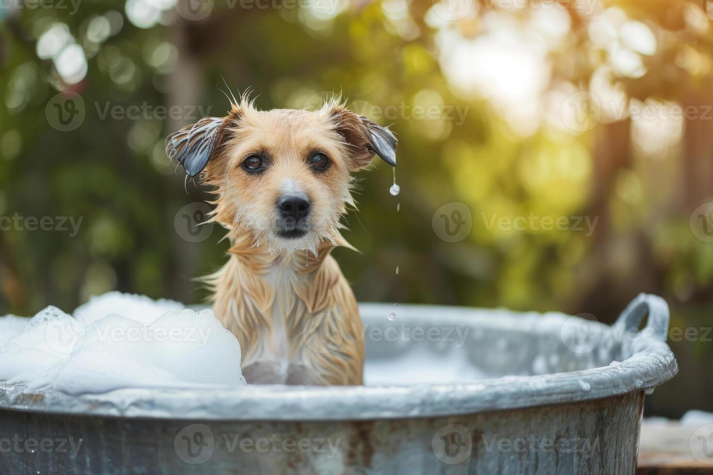 AI generated Dog taking a bath in the backyard. Generative AI photo